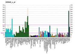 PBB GE GLUD1 200946 x at fs.png