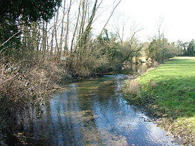 Mimram River Near Tewin - geograph.org.uk - 130244.jpg