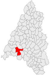Location in Bihor County