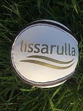 Image of a hurling sliotar