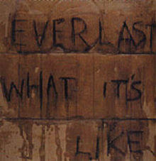 Everlast-WhatIt'sLike.jpg