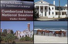Montage Cumberland Island GA.jpg