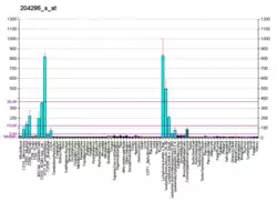 PBB GE PMAIP1 204286 s at fs.png