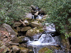 Whitewatercreek.jpg