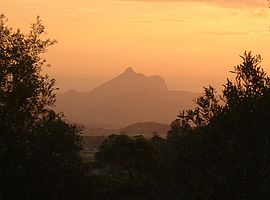 MT warning.jpg