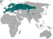 Eurasian Pygmy Shrew area.png