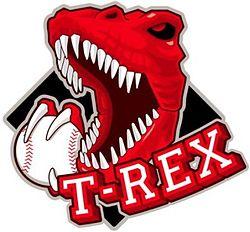 Dmedia T-REX logo.jpg
