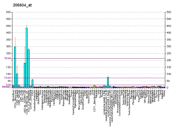 PBB GE BTK 205504 at fs.png