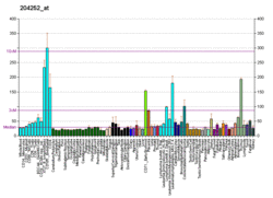 PBB GE CDK2 204252 at fs.png
