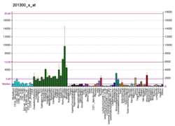 PBB GE PRNP 201300 s at fs.png