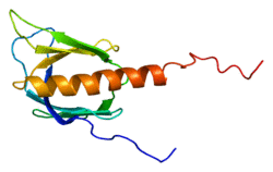 Protein ADRBK1 PDB 1bak.png