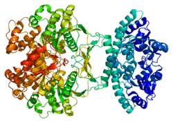 Protein ATIC PDB 1p4r.png