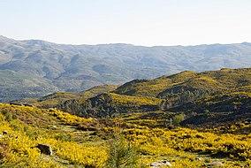 Serra Amarela (3998067385) (2).jpg