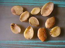 Ogbono (Irvingia gabonensis).jpg