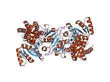 PDB 1q0q EBI.jpg