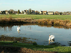 Village Pond, Broughton Gifford - geograph.org.uk - 681571.jpg