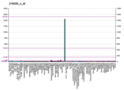 PBB GE CYP2C9 216025 x at fs.png
