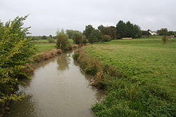 River Evenlode.jpg