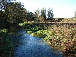 River Nar at Castle Acre 2 - geograph.org.uk - 589465.jpg