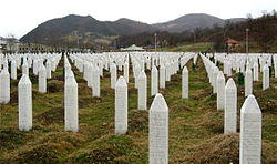 Srebrenica massacre memorial gravestones 2009 1.jpg
