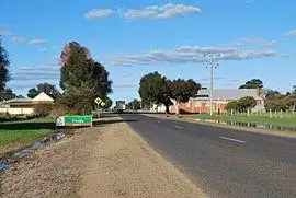 Picola 2011 002.JPG