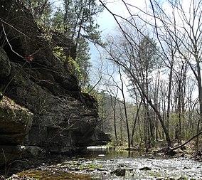 Hawn State Park 24mar12 21.jpg