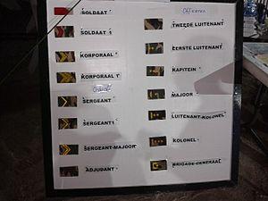 Suriname army ranks.jpg