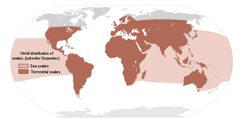 Approximate world distribution of snakes.