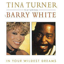 Tina Turner & Barry White - In Your Wildest Dreams.jpg