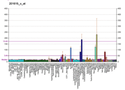 PBB GE CALD1 201615 x at fs.png