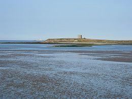 Shenick's Island - geograph.org.uk - 491316.jpg