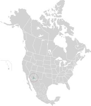 Madrean Sky Islands Montane Forests map.svg