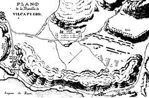 Plano Vilcapugio.jpg