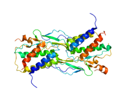 Protein IL15 PDB 2Z3Q.png