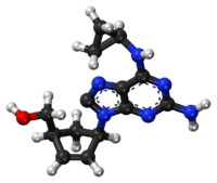 Abacavir ball-and-stick model.png