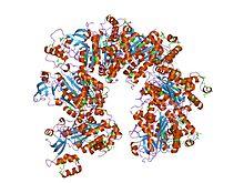 PDB 1pv4 EBI.jpg