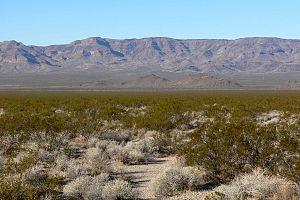 Piute Range from Piute Valley 2.jpg