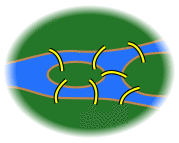 7 bridges.svg