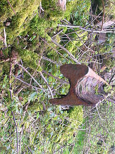 Waggonway Rail.JPG