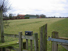 Thwing(StephenHorncastle)Mar2006.jpg