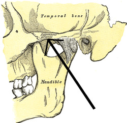 Processuszygomaticusossisfrontalis.PNG