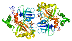 Protein CFB PDB 1dle.png