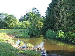 River Alne - geograph.org.uk - 21834.jpg