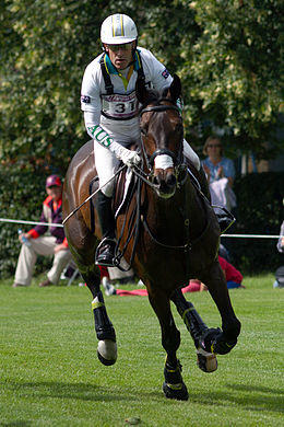 Andrew Hoy Rutherglen cross country London 2012.jpg