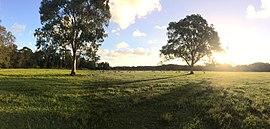 The sun setting in Coombabah Lake Conservation Park.jpg
