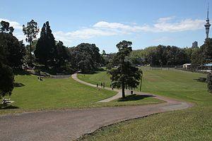 Western Park playing field 2.jpg