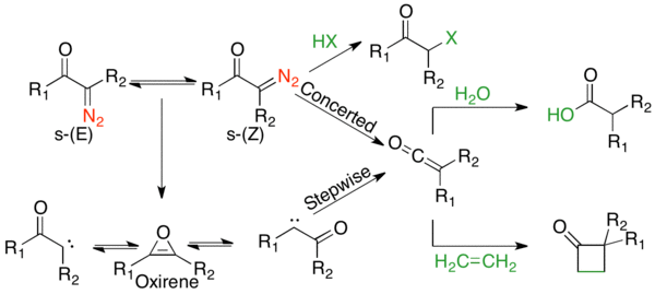 Mechanistic landscape of the Wolff-rearrangement, with the concerted mechanism on the top and stepwise mechanism with carbene and oxirene intermediates on the bottom.