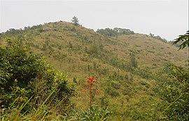 GrassyHill1.jpg