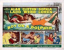 BoyondolphinDMtc.jpeg