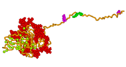 Bone Sialoprotein Model.png